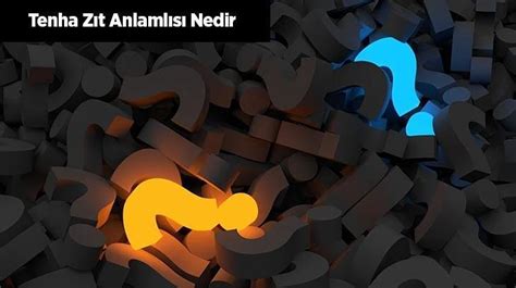 tenha zıt anlamlısı